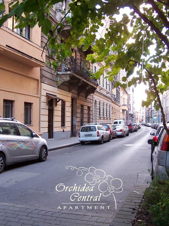 Orchidea * Budapest