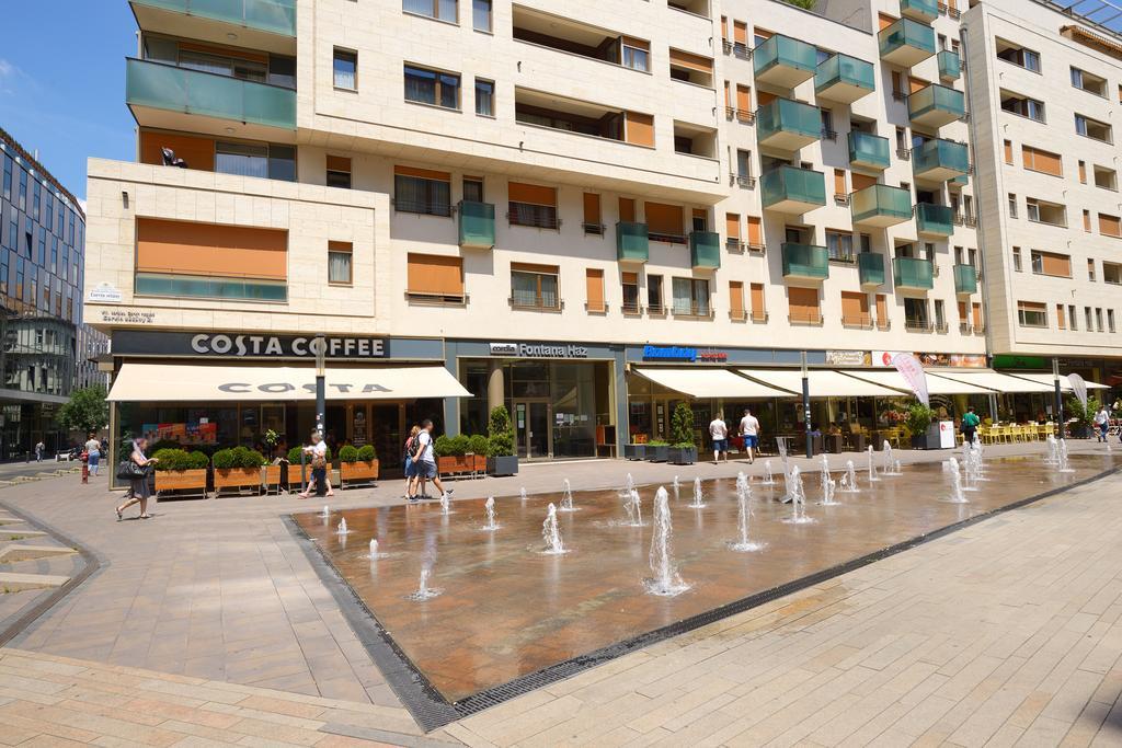 Apartament Corvina *