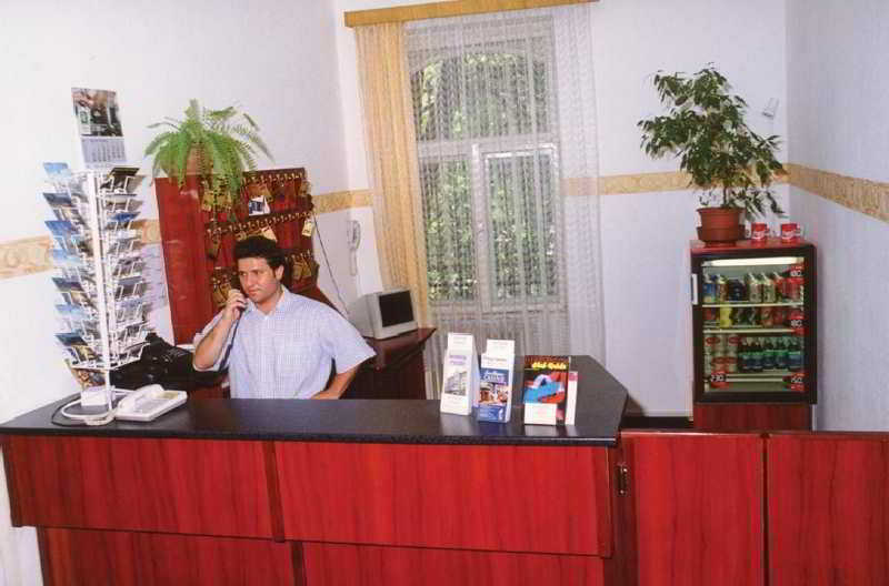 Dominik Panzio Budapest