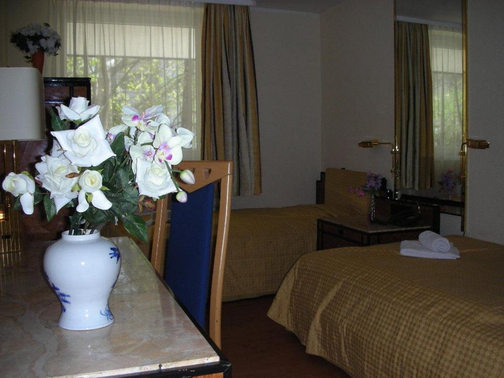 Hotel Panda 3*