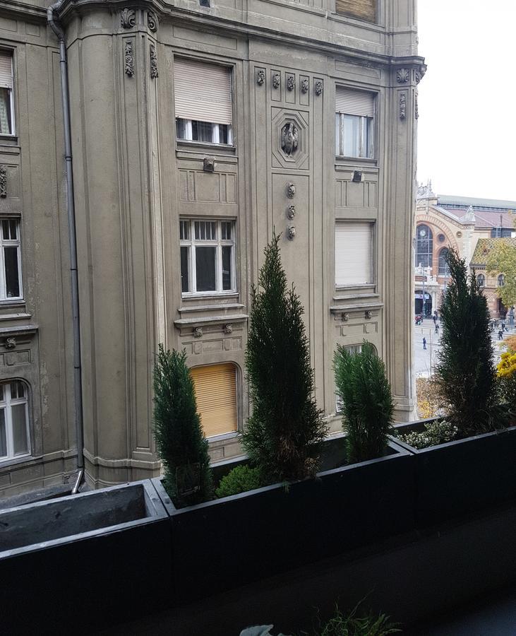 Butterfly Danube Bed & Breakfast Budapest