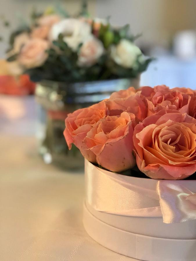 Hotel Rosa Boutique