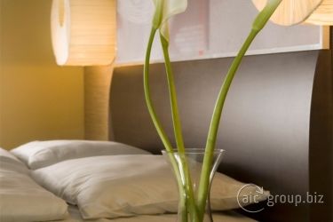 The Honest Budapest By Chic & Basic