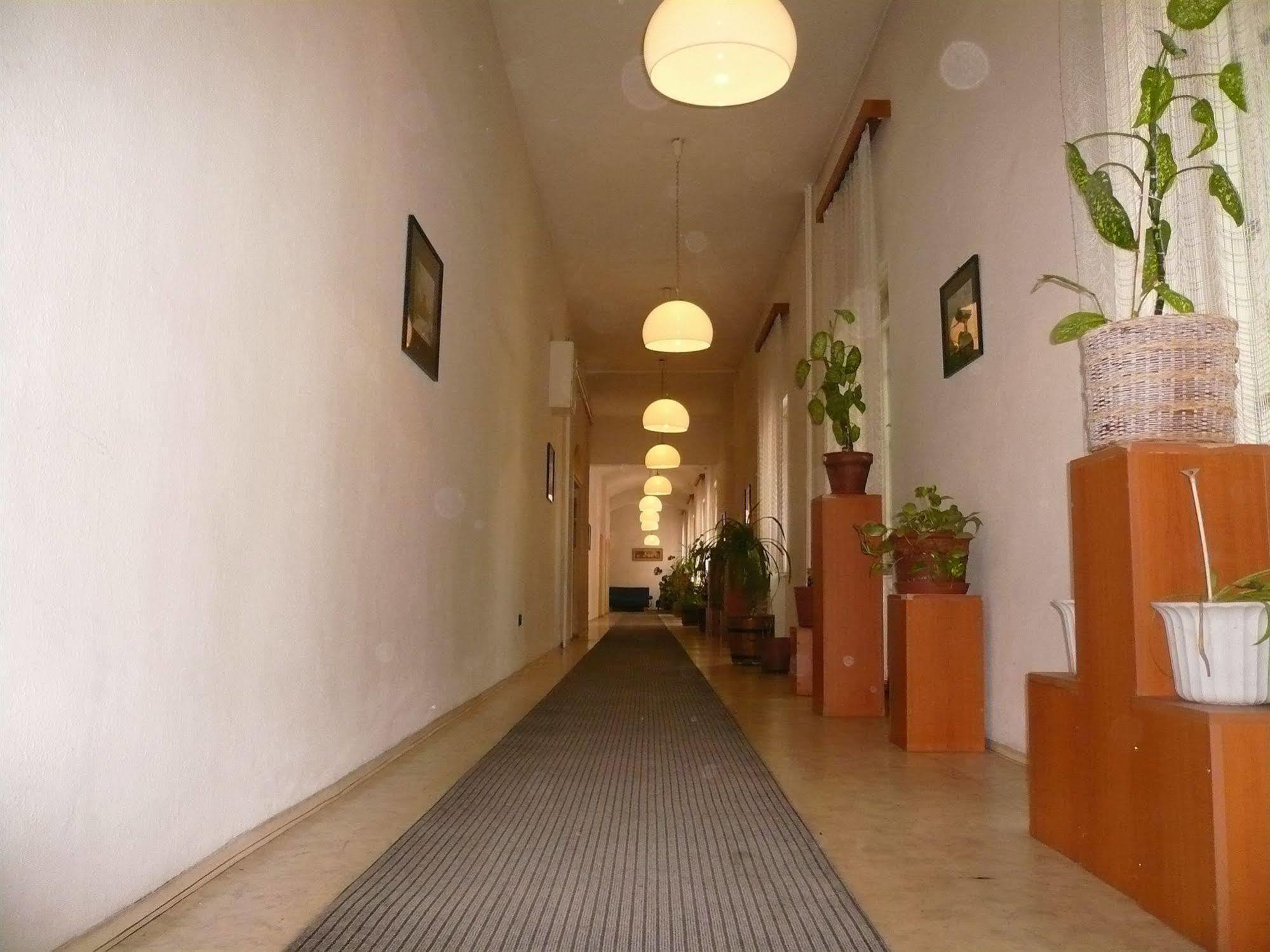 Dominik Panzio Budapest