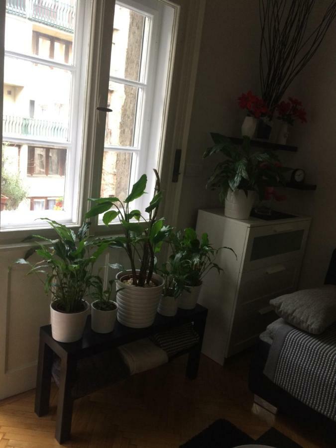 Sunshine Apartamento