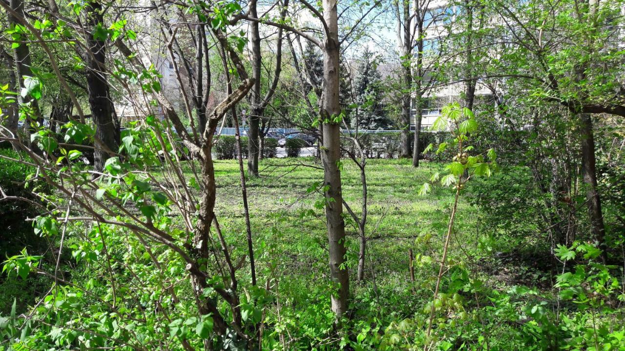 Appartement Greenapartman