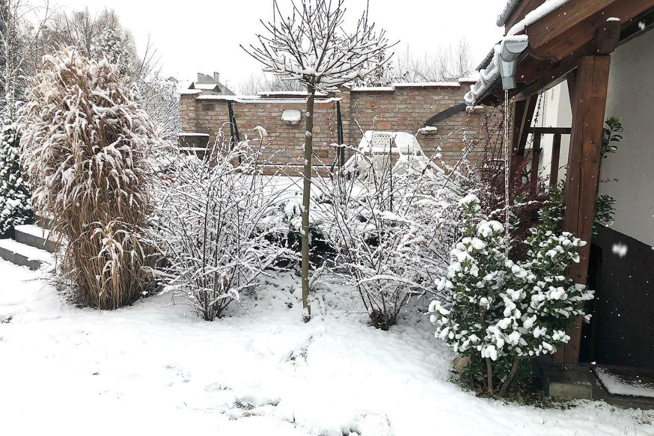Full 2Bdr Garden House Near To Downtown Metro Free Parking Pensjonat *