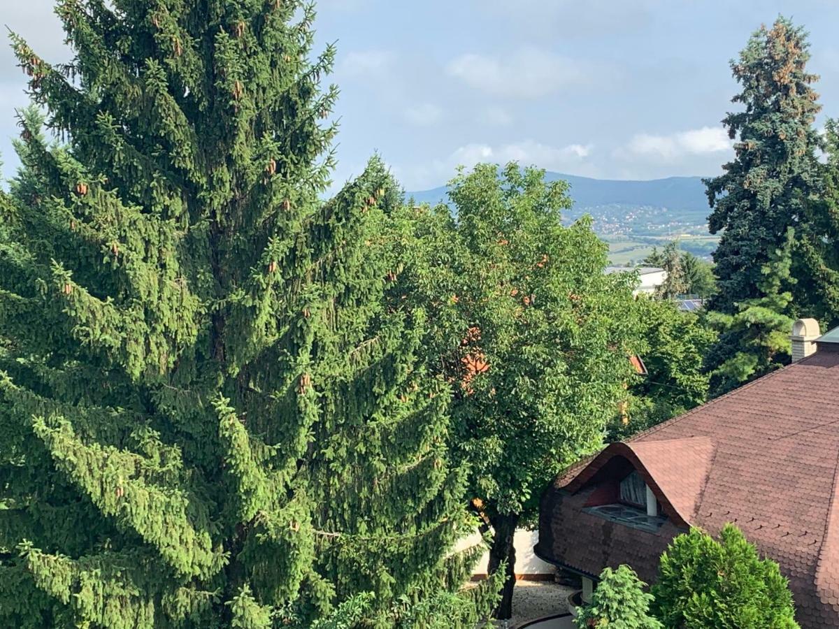 Maharaja Mountain Palace With Free Privat Parking And Garden Apartment