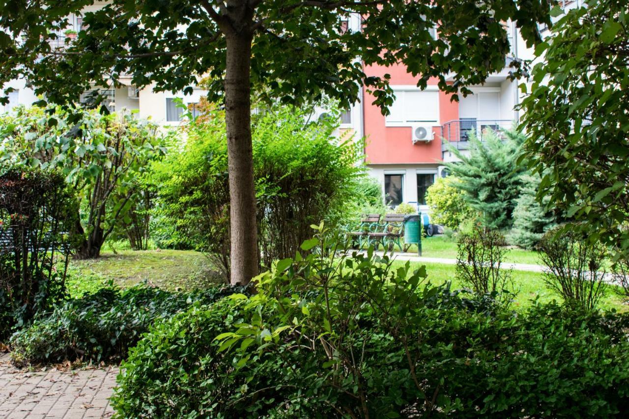 Apartamento Viola