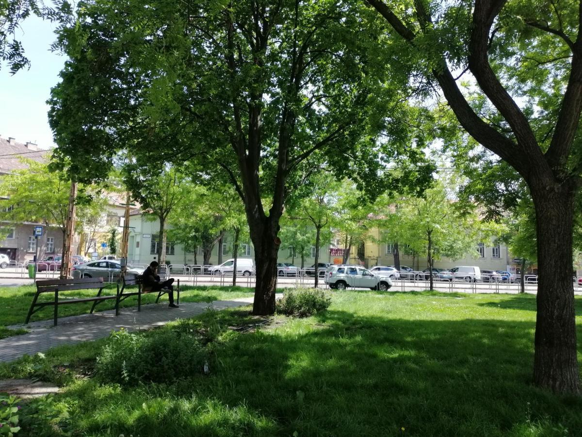 Pensión Orczy Park