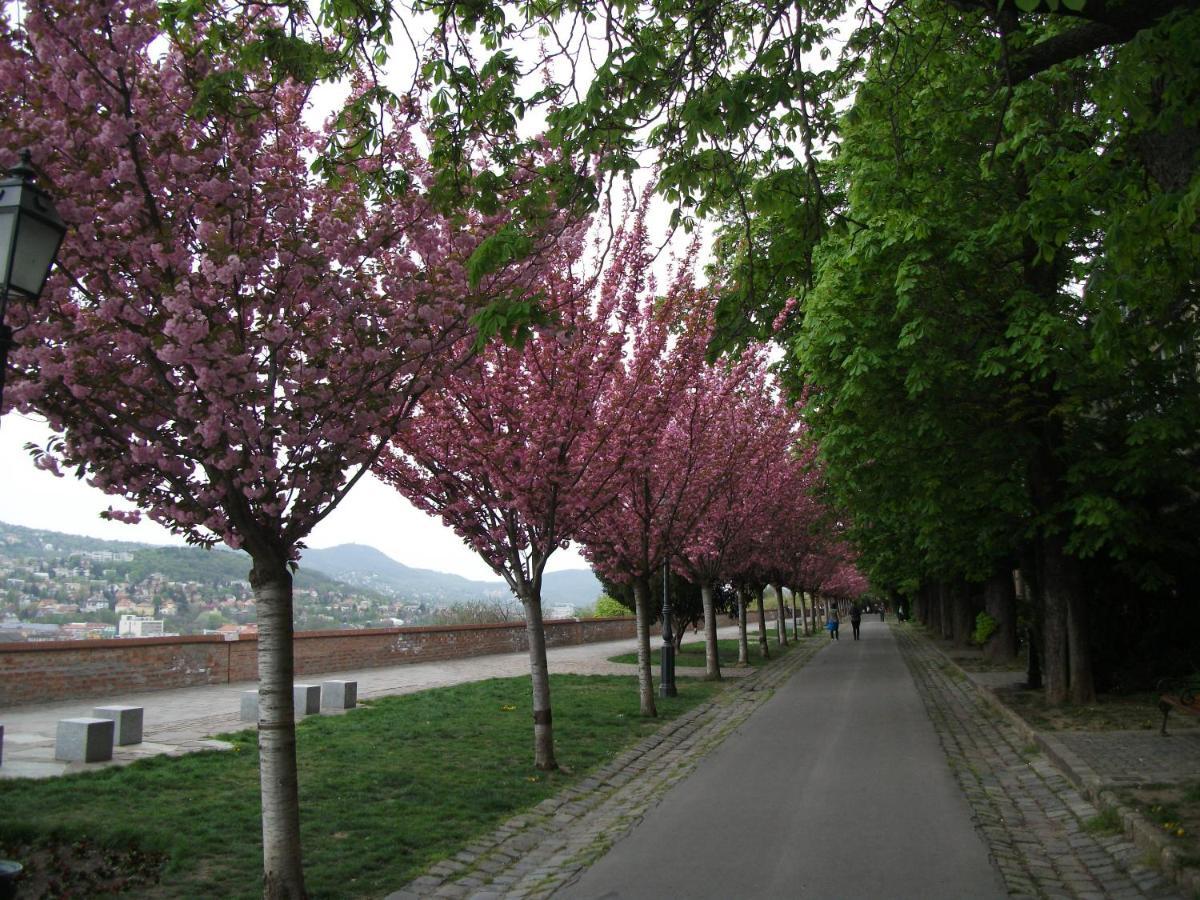 Buda Castle - Inside Buda Castle Appartamento Budapest