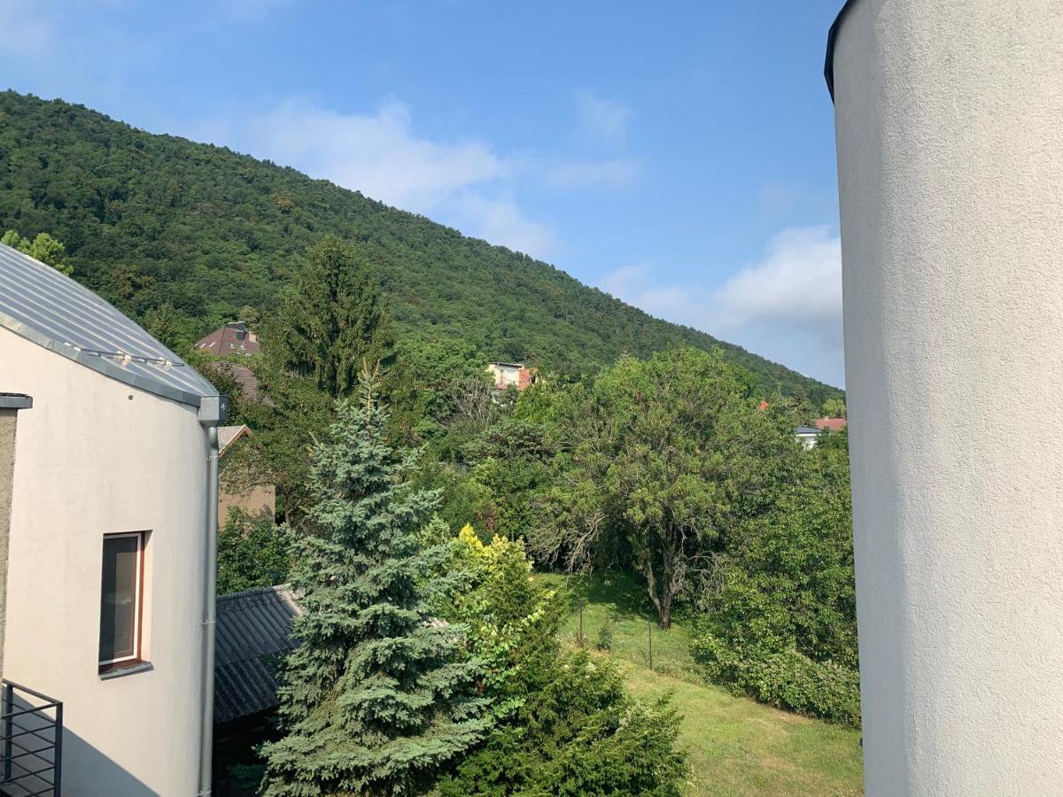 Maharaja Mountain Palace With Free Privat Parking And Garden Apartment *