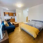 Central Studio Close To Andrassy Avenue For 4 Persons