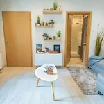 Velvet Vista Apartment