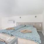 Aurora Borealis Apartment