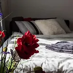 N16-Spacey, Modern Family Flat For 5