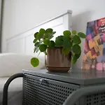Artist\'S Home - Urban Oasis