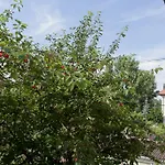 Zuglo Apartman Es Hostel