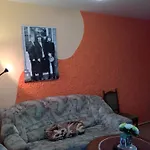 Oers Vezer Apartment Beatle