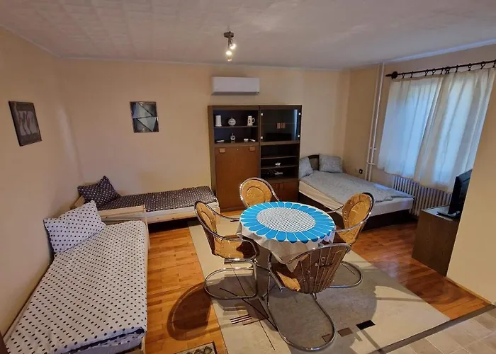 Friendly Apartment In The Suburb.