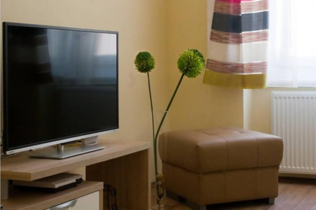 Luxury In The Center Apartment *