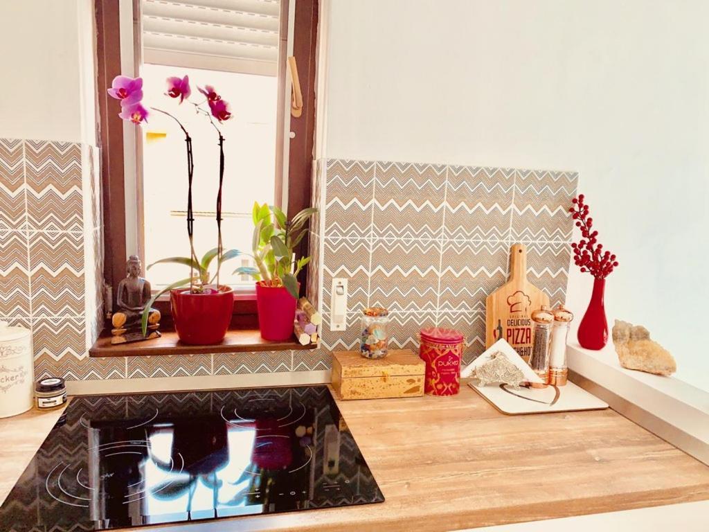 Lejlighed Sunny Deluxe Apt. & Terrace Budapest