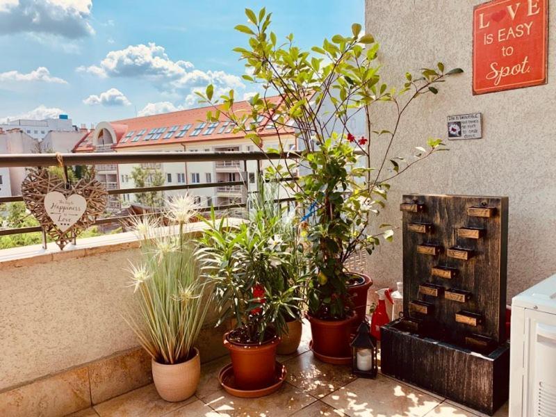 Sunny Deluxe Apt. & Terrace Lejlighed