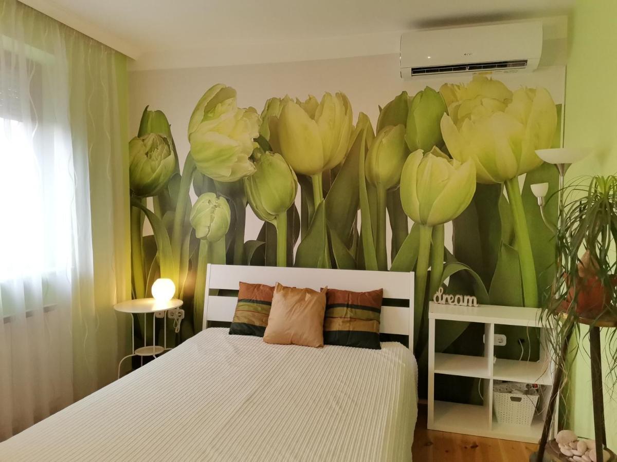 Bird Hill Appartement