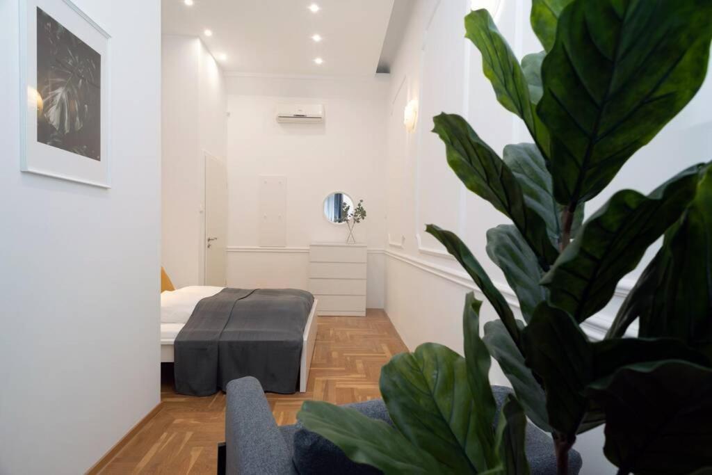 Located, 150 M2 5 Bedrooms Apt., Lejlighed Budapest