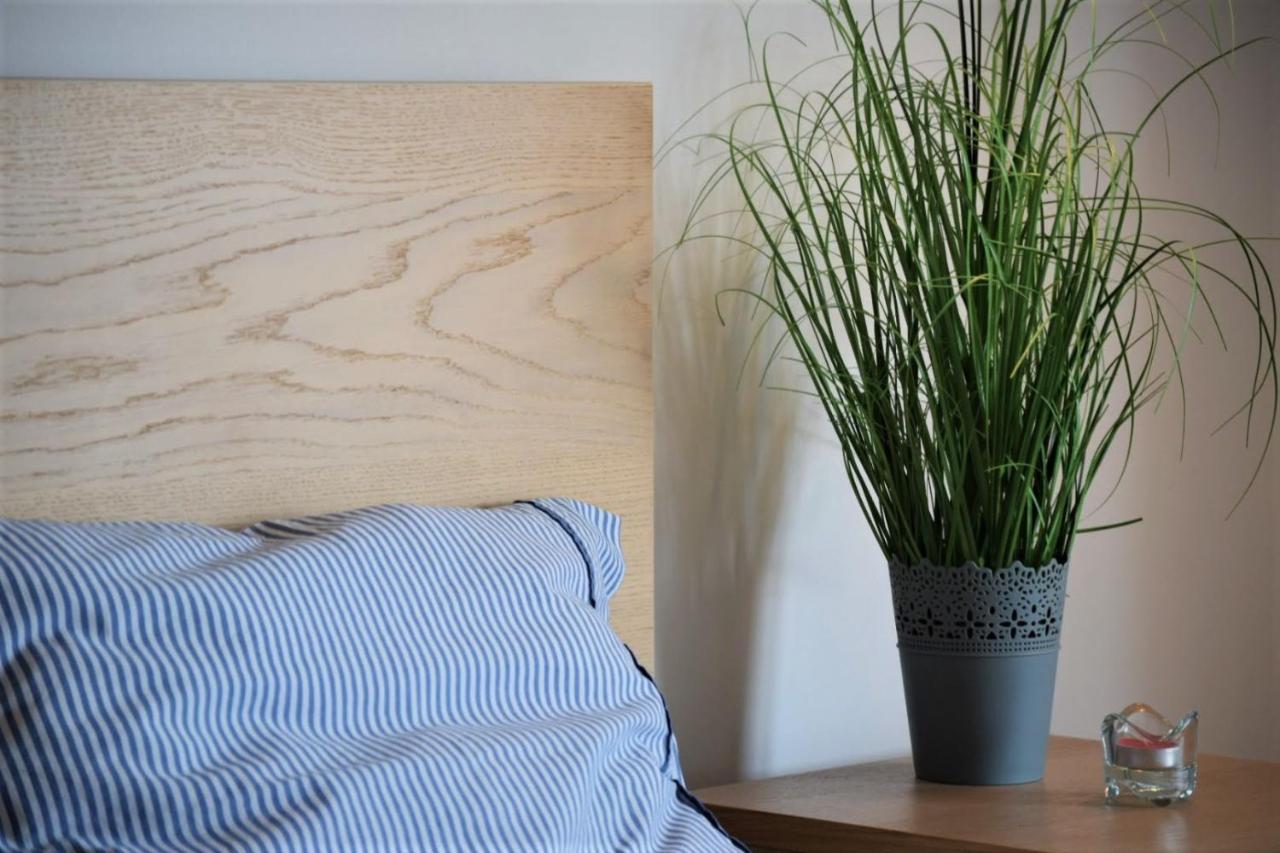 Cosy In Downtown With Free Garage Parking *