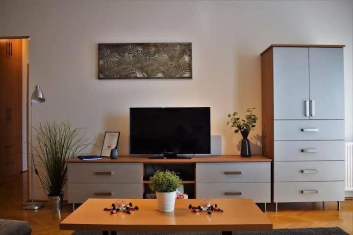 Cosy In Downtown With Free Garage Parking Apartment
