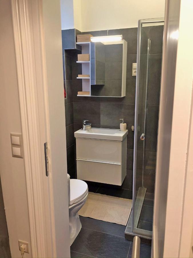 Modern Comfort In Historical * Budapest