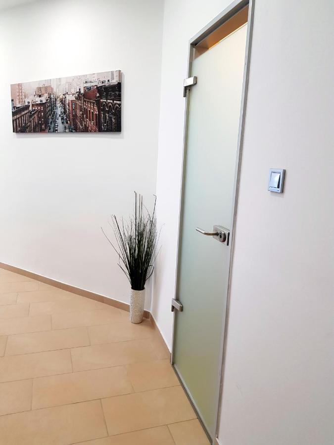 Luxurious With Balconies In Downtown Bp Budapest