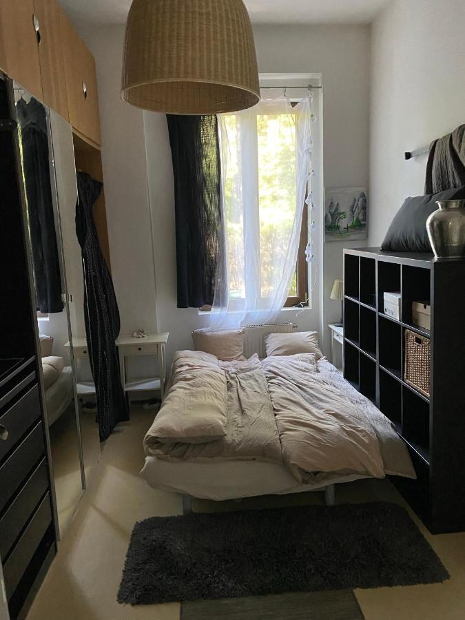 Modern House In With Pool Apartamento