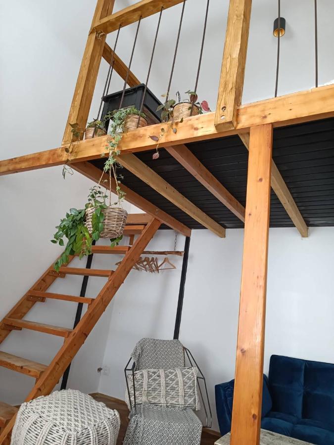 Hipster Paradise Apartment