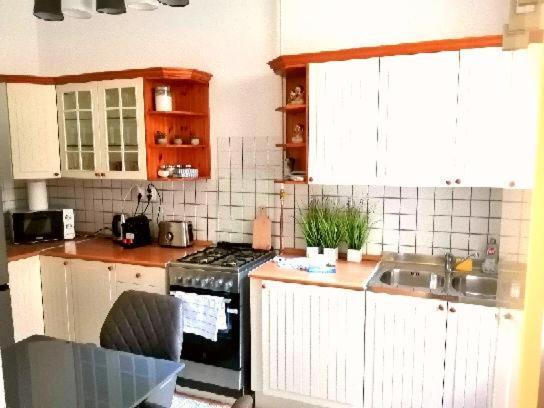 Free Garage Parking, Ac And Bikes In The Downtown Apartment Budapest