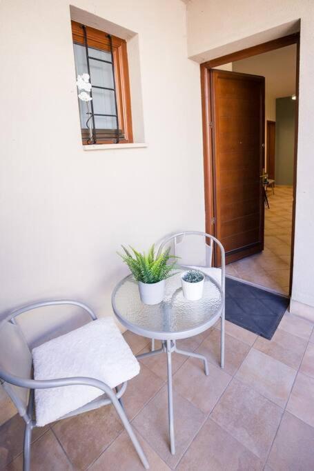 Urban Jungle In The Citycenter Apartment Budapest