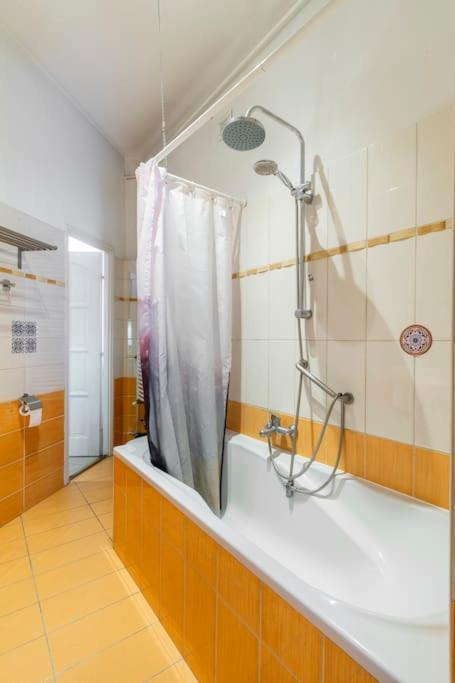Basilica Apartament