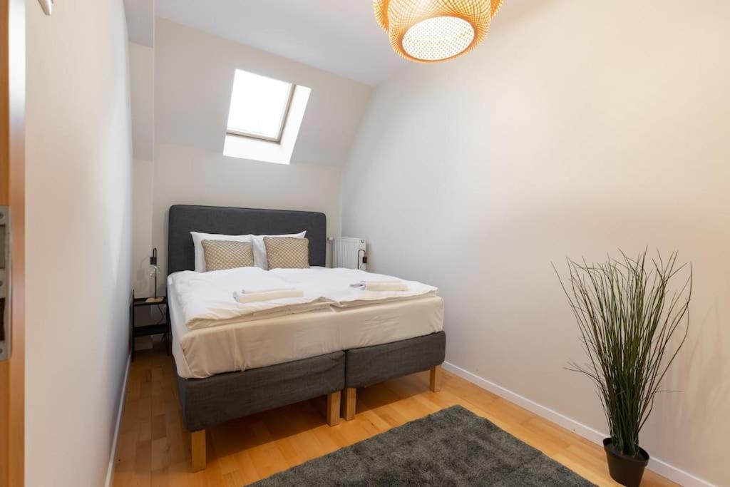S22 Apartament *