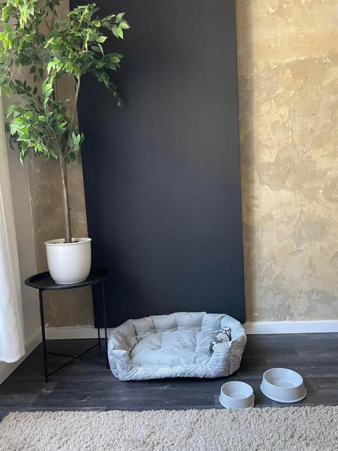 Lejlighed Spacious Almassy Budapest