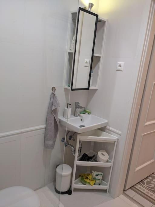 David Appartement