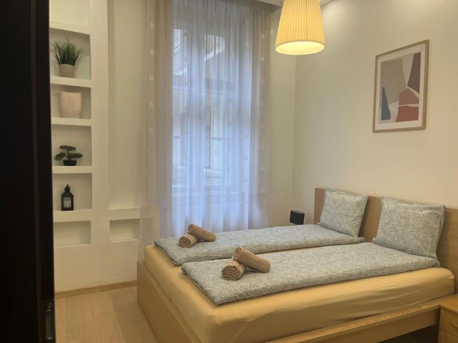 Szechenyi Renovated 2br At Danube River
