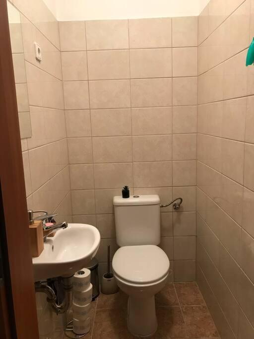 Arena Apartment *