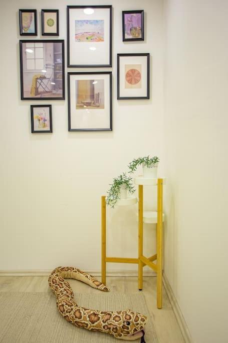 Apartment Cosy Two Bedroom Flat In Josika Street, Paprika Budapest