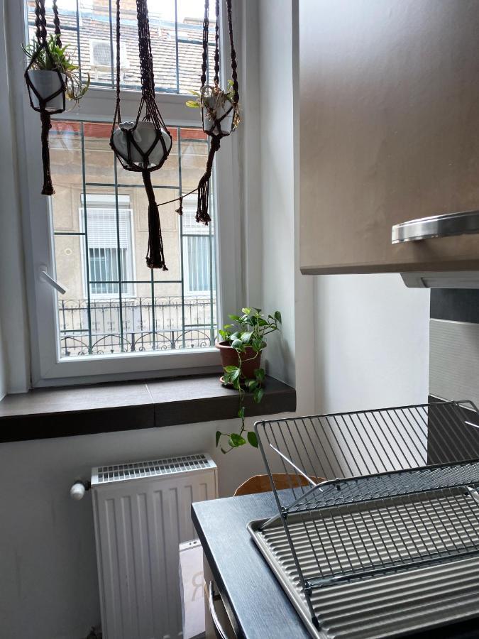 Awesome In The Apartamento