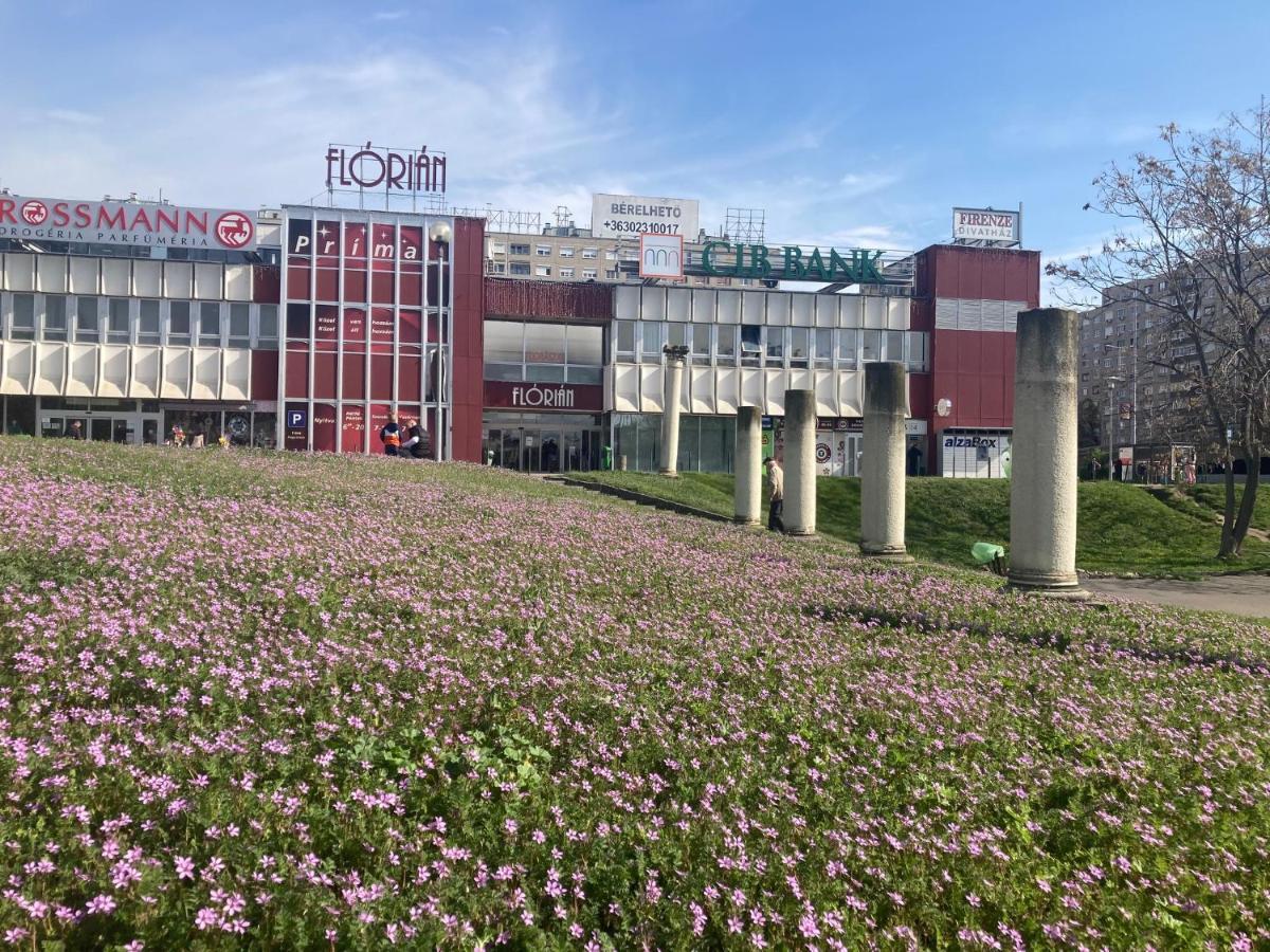 Poppy Flower Apartment