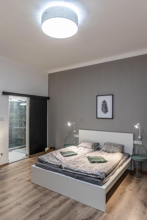 Design Downtown Apartment Budapest