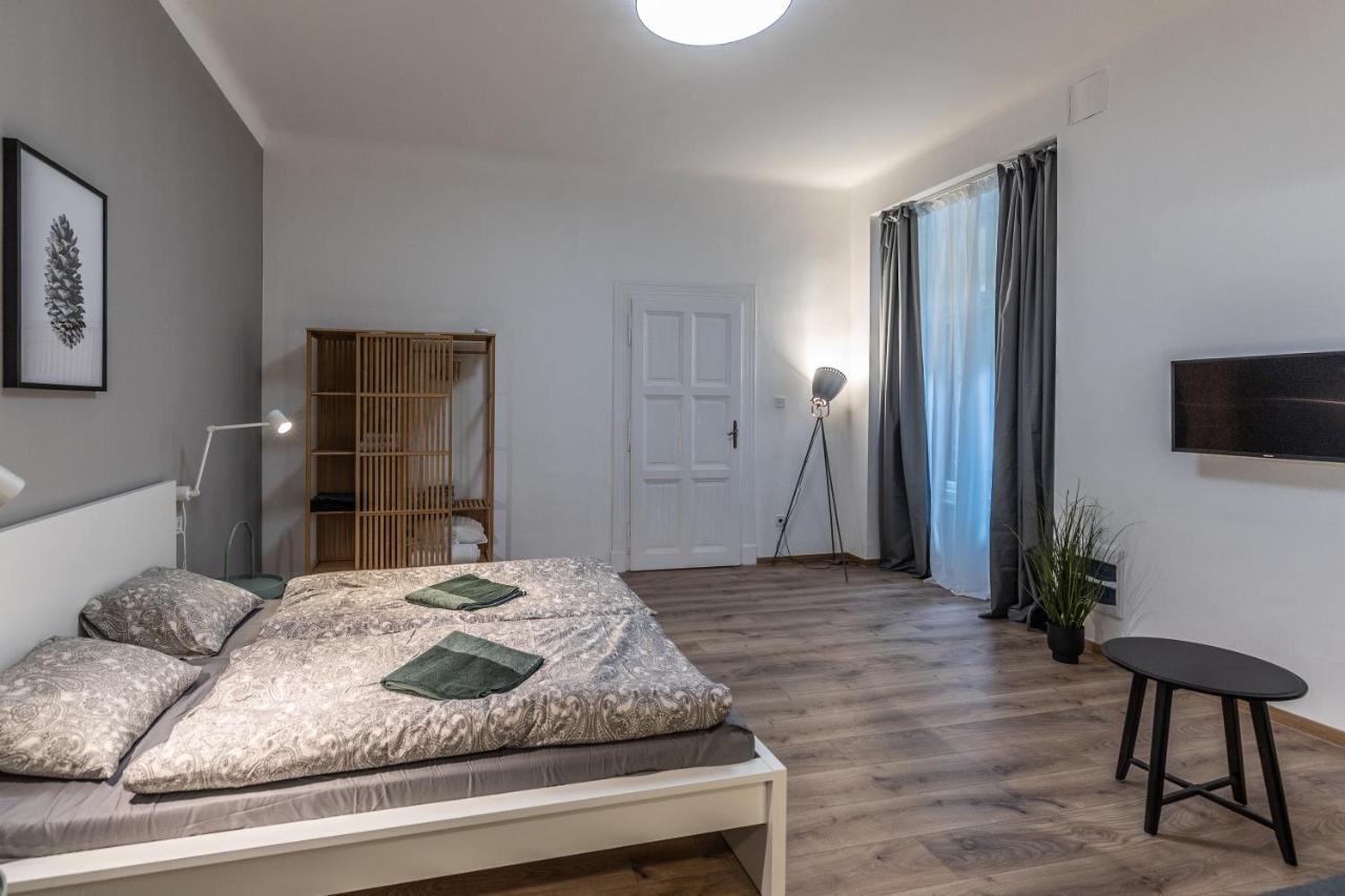 Apartment Design Downtown Budapest