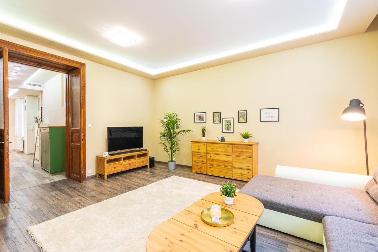 Vibrant And Spacious Downtown Flat Apartment