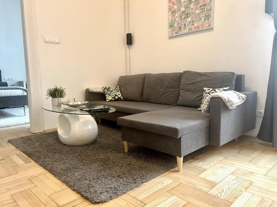Modern Spacious Flat In Buda Apartment